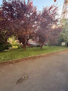 T4 74 m² – Loué avec garage – Investissement sécurisé – photo 20