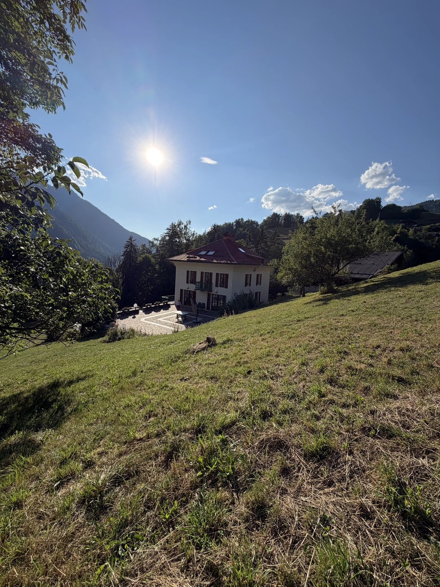 Extérieur – Vue depuis le pommier